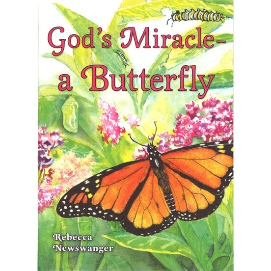 gods miracle a butterfly
