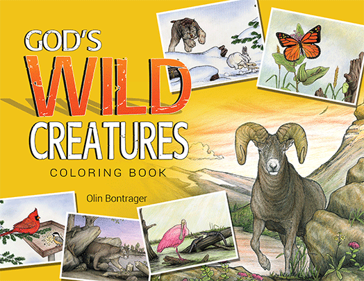 Wildlife Watercolors – A Reverse Coloring Book of Wild Animals and  Botanical Wonders - Petxies Books